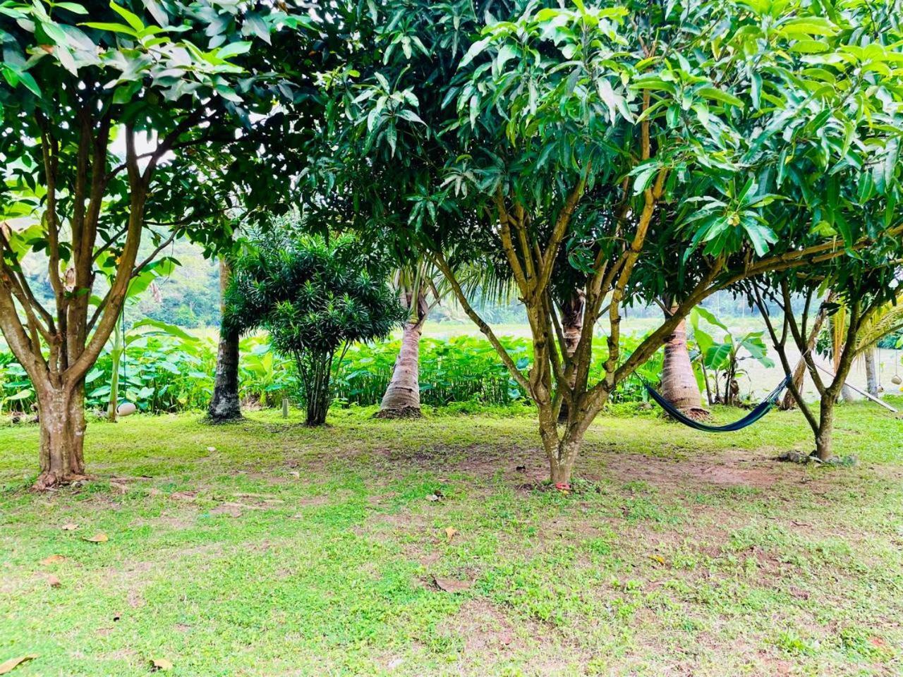 Secret Garden Mirissa Villa Exterior photo